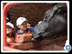 Visita-a-la-Granja-foto-18