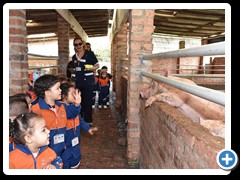 Visita-a-la-Granja-foto-21